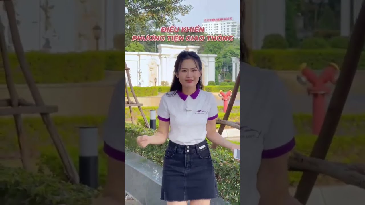 Giải lập học lái xe ô tô