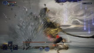レベル1ソロ 武器禁止 調律の魔物 夜の魔、リブラ レディ エルデンリングナイトレイン