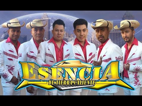 download lagu mp3 mp4 Grupos De Tierra Caliente, download mp3 Grupos De Tierra Caliente free downloadn, video klip Grupos De Tierra Caliente