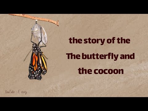 The story of the butterfly and cocoon