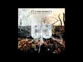 CygnosiC - The Darkness 