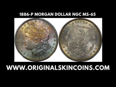 1886-P U.S. Morgan Dollar NGC MS-65, Toned - Original Skin Coins