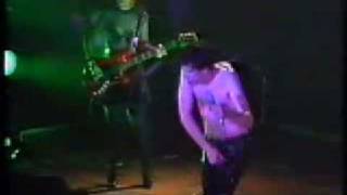 The Cramps - Can Your Pussy Do the Dog? LIVE