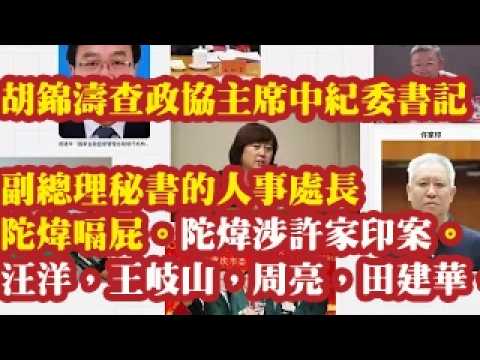 胡锦涛查政协主席和中纪委书记，副总理秘书的人事处长陀炜嗝屁。陀炜涉许家印案。汪洋，王岐山，周亮，田建华，姜丽明，回良玉涉案。习近平倒台