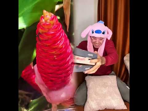 😂#student #studentlife #schoollife #school #teachers #teacherbelike