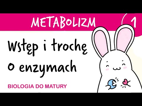 Metabolizm 1 - Informacje ogólne i trochę o enzymach - biologia do matury liceum rozszerzona