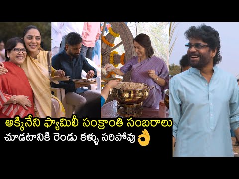Akkineni Family Celebrates Sankranthi Festival At Annapurna Studious | Nagachaithanya | Sobhita | FL
