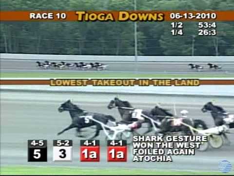 2010 Bettors Delight Pace - theharnessedge.com