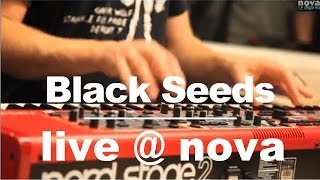 Black Seeds - Sometimes Enough • Live @ Nova
