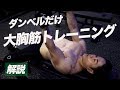 大胸筋トレーニングを始めるならこの種目!上部・下部を狙うダンベルフライのやり方