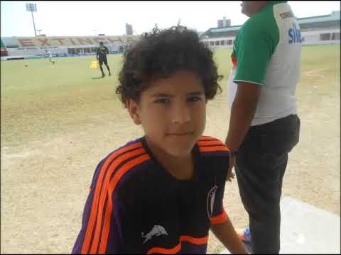 LDM CATEGORIAS DE BASE