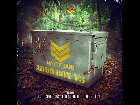 Hoogs - R Ting - Ammo Box V3 - Natty Dub Recordings