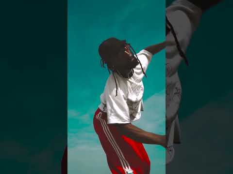 Lady Linn & her Magnificent Seven -  Move your body (the house music anthem)