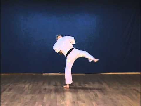 Jiro Otsuka sensei - Niseishi