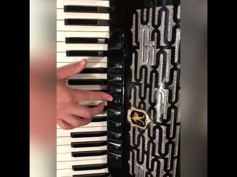 Accordion Paolo Soprani Cassotto 9 Register 4 choirs with case image 12
