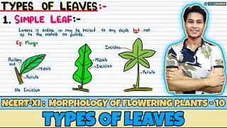 Morphology of Flowering Plants| Lec 10- Types of Leaves| Class 11| NEET| Neetology