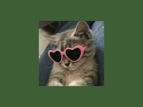 haifa wehbe - touta (sped up)