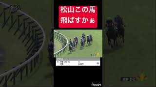 【絶望】松山さんこの馬を飛ばしちゃだめだよ… #競馬