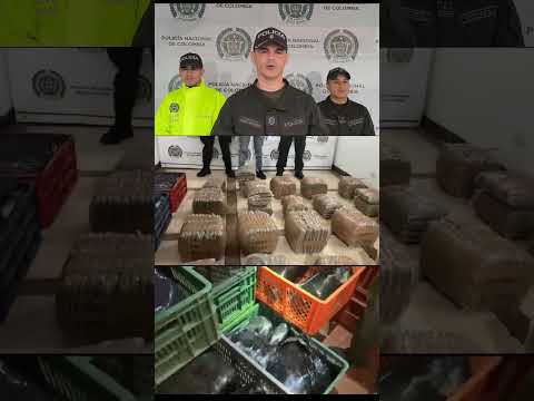 Golpe al microtráfico en Nariño. 200 kilos de marihuana,avaluados en 180 millones de pesos.