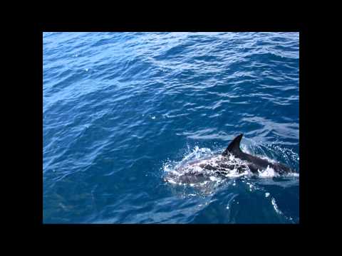 432 Hertz Mix - Musik von NamaRa