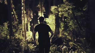 Passafire - Longshot