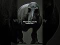Accurate T Rex Is Absolutely Terrifying Prehistoric Dinosaur Trex Tyrannosaurus Scary Extinct