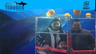 DIA 2 Expo Tiburon75