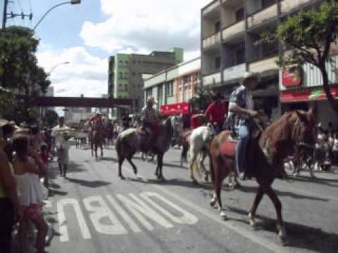 Desfile cavalos pista sem proteção