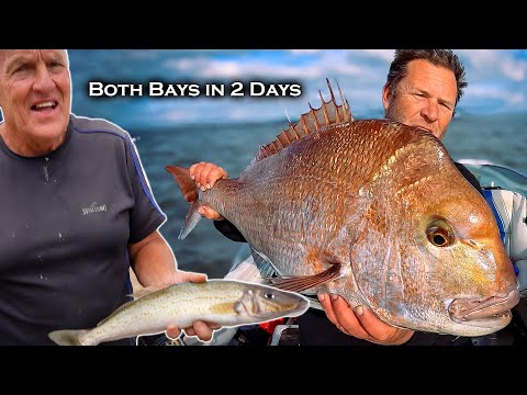 Ultimate Fishing Adventure: Snapper & King George Whiting Bonanza in Two Bays