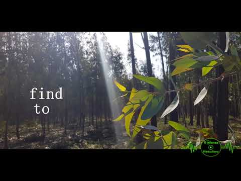 Ricardo Sousa - Made of Glass (ORIGINAL Lyrics Video)