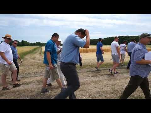 HED-LAND Innovációs kísérletek, Szarvas 2017