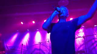 Tripping Daisy - My Umbrella (7/1/2025, St. Louis)