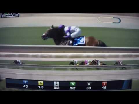 HONEYMOON S, (G STAKES)$200,000 2017 SIRCAT SALLY !!!