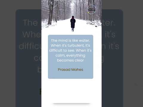 Bayside Meditation in Queens NYC  #meditation #meditationforbeginners  #quote #shorts #shortsvideo