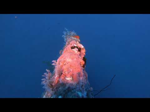 Sea Venture 13122020