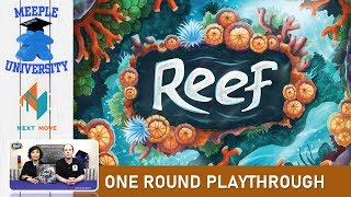 Meeple University - Reef video thumbnail