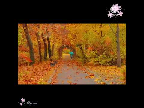 SAAT KU PULANG MENGHADAP BAPA #pujianpenyembahan #saatteduh #lagurohanikristen #pdterastus #worship