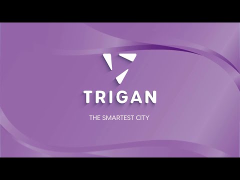 An Introduction to Trigan