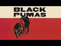 Black%20Pumas%20-%20Politicians%20In%20My%20Eyes