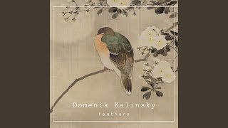 Feathers