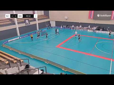 MLT - Nibacos Maalikooste  20.3.2021