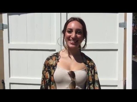 The Gilded Bellini: Brunch at Cafe Mimosa