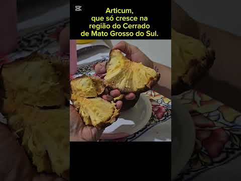 #articum #Cerrado #matogrossodosul #costarica