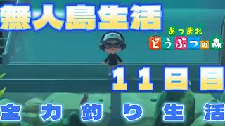 釣りで生計!!【あつまれどうぶつの森】完全初見!?島生活11日目
