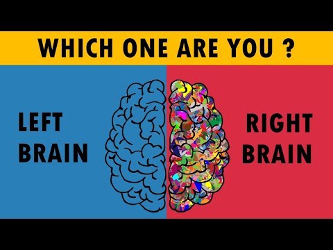 Are You Right Or Left Brain Dominance ? Personality Test