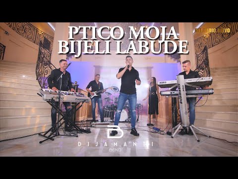 Dijamanti Bend (UŽIVO) - Ptico moja bijeli labude