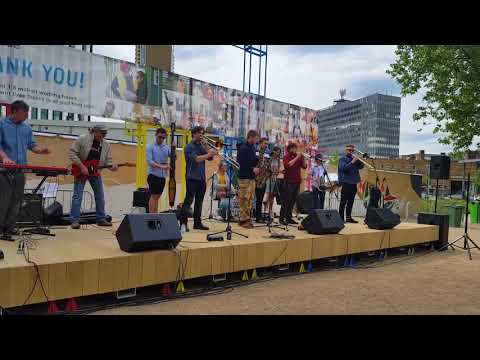 Persian Cat - South London All Ska's