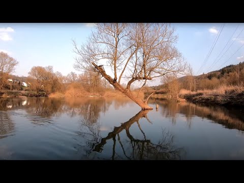 Oberer Neckar Kajak 2019