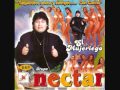 GRUPO NECTAR-SUELTAME 