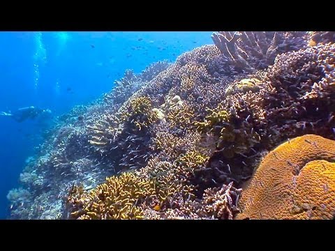 Bunaken National Park, Dive Site, Part.1